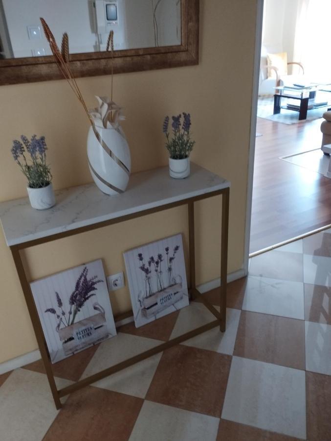Alameda Residence Томар Экстерьер фото